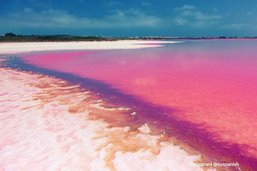 jezioro różowe pink lake torrevieja najbardziej instagramowe miejsce w alicante